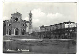 10.217 - AVEZZANO LA CATTEDRALE ANIMATA 1960 - Avezzano