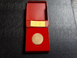 BELGIQUE STANDARD DE LIEGE MEDAILLE CHAMPION 2007-2008 ! - Firma's