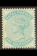 NATAL 1882 ½d Blue Green, SG 97, Superb Well Centred Mint. For More Images, Please Visit Http://www.sandafayre.com/itemd - Unclassified