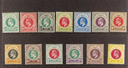NATAL 1902-03 KEVII Definitives Complete Set, Wmk Crown CA, SG 127/39, Fine Mint. Fresh And Attractive! (13 Stamps) For  - Unclassified