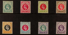 NATAL 1904 - 8 KEVII "Postage Revenue" Inscribed Complete Set To 2s 6d, MCA Wmk, SG 146/57, Very Fine Mint. (8 Stamps) F - Unclassified