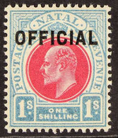 NATAL OFFICIAL 1904 KEVII 1s Carmine And Pale Blue, SG O6, Never Hinged Mint, Light Vertical Gum Bend.. For More Images, - Unclassified