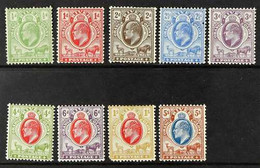 ORANGE RIVER COLONY 1903-04 Complete Set, SG 139/147, Mainly Fine Mint, Some Small Perf Faults. (9 Stamps) For More Imag - Unclassified