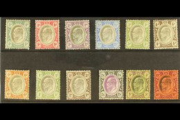 TRANSVAAL 1902 Ed VII Set To 10s Complete, SG 244/55, Mint, Couple Of Small Faults On Lower Values Otherwise Very Fine.  - Unclassified