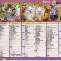 Almanach Du Facteur, Calendrier De La Poste, 2015, Côte D'Or, Gentils Chatons, Mignons Chiots, A Voir ! - Grand Format : 2001-...