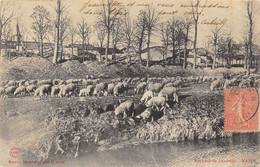 CPA 54 ENVIRONS DE LUNEVILLE MAIXE 1906 - Luneville