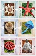 Romania Rumänien Delivery Within 4 Weeks MNH ** Ru 2021 - 174  Mushrooms Set - Unused Stamps