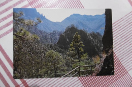 Isla De La Palma - Caldera De Taburiente. Parque Nacional - Vista Desde Roque Huso - La Palma