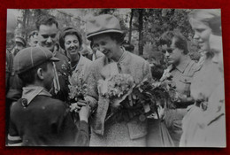 Photo Originale, Format CP - Reine Fabiola, Journée Du Scoutisme - Bruxelles, Mai 1964 - Personnes Identifiées