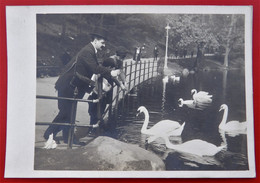 Cpa Photo NEW YORK Anime  Central Park 1910 - Central Park
