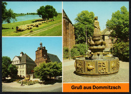 F1550 - TOP Dommitzsch Brunnen - Bild Und Heimat Reichenbach - Torgau