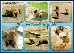 F1566 - TOP Hartenfels Bären Bär Braunbär - Bild Und Heimat Reichenbach Qualitätskarte - Unclassified