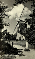 Schoorl Oude Molen   Noord Holland  HOLLAND HOLANDA NETHERLANDS - Schoorl