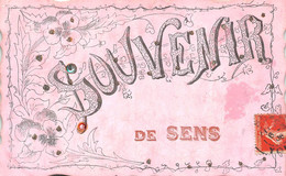 89-SENS-SOUVENIR MULTIVUES - Sens