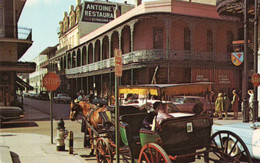 NEW ORLEANS Antoine's Of Royal And St Louis Streets - New Orleans