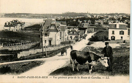 St Pair Sur Mer * Vue Générale Prise De La Route De Carolles * Villas - Saint Pair Sur Mer