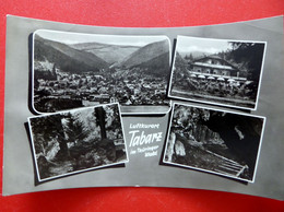 Tabarz - 1965 - Echt Foto - Kleinformat - Thüringer Wald - Thüringen - Tabarz