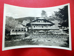 Tabarz - 1956 - Schweizerhaus - Gasthaus - Echt Foto - Kleinformat - Thüringer Wald - Thüringen - Tabarz