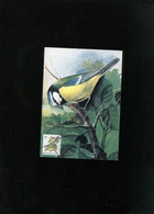 Belgie 2261 Maximumkaart Buzin Birds Brussel - 1981-1990
