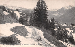 Route Des Hôtels De Montana S. Sierre En Hiver - Luge - Sierre