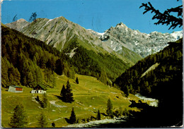 10156 - Schweiz - Parkhütte Varusch , Zuoz Und S-chanf , Blick Gegen Val Trupchun Und Piz Fier - Gelaufen 1973 - Zuoz