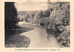 QUEBEC - A PRETTY SCENE ON ESCUMINAC RIVER, GASPE - Gaspé