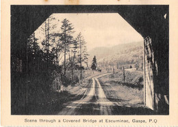 QUEBEC - SCENE THROUGH A COVERED BRIDGE AT ESCUMINAC, GASPE - Gaspé