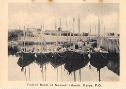 QUEBEC - FISHING BOATS AT NEWPORT ISLANDS, GASPE - Gaspé