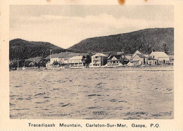 QUEBEC - TRACADIGASH MOUNTAIN, CARLETON SUR MER, GASPE - Gaspé