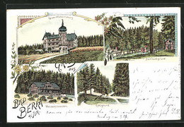 Lithographie Bad Berka, Dambachgrund, Kaiser Wilhelmsburg, Gasthaus Waldschlösschen, Kohlgrund - Bad Berka