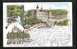 Lithographie Ilsenburg / Harz, Hotel Zur Waldhöhe, Ilsestein, Ilsefälle - Ilsenburg