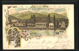 Lithographie Ilsenburg / Harz, Hotel Zu Den Roten Forellen - Ilsenburg