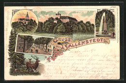 Lithographie Ballenstedt / Harz, Burg Falkenstein Im Dämmerungslich, Schlosspark Mit Fontaine, Schloss Von Der Westse - Ballenstedt