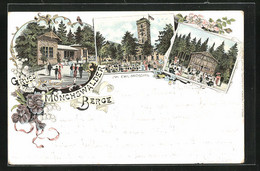 Lithographie Wilthen, Gasthaus Mönchswalder Berge Mit Aussichtsturm Und Pavillon - Wilthen