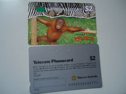 AUSTRALIA  USED CARDS   MONKEY - Oerwoud
