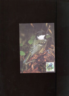Belgie 2804 Maximumkaart Buzin Birds Jodoigne - 1991-2000