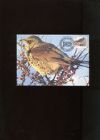 Belgie 2792 Maximumkaart Buzin Birds Bruxelles - 1991-2000