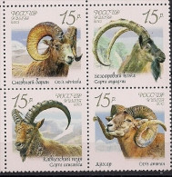 2013 Russland Mi. 1899-1902 **MNH  Wildlebende Schafe Und Ziegen - Nuevos