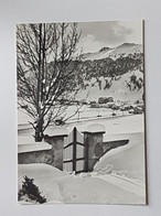 Schweiz. Engadin, Celerina (nicht Gelaufen; Ca. 1970?), #H41 - Celerina/Schlarigna