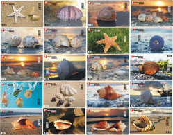 S05085 China Phone Cards Shell 120pcs - Peces