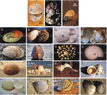 S05092 China Phone Cards Shell Puzzle 76pcs - Poissons