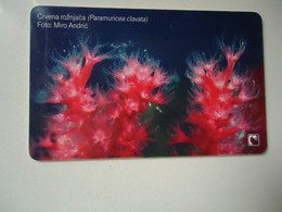 CROATIA USED CARDS MARINE LIFE  FISHES - Pesci