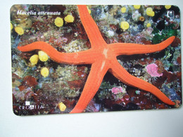 CROATIA USED CARDS MARINE LIFE  FISHES - Fische