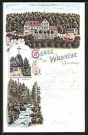 Lithographie Ilsenburg, Hotel Pensionat Waldhöhe, Ilsefälle Und Ilsestein - Ilsenburg