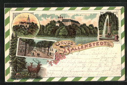 Lithographie Ballenstedt / Harz, Schloss Von Der Westseite, Burg Falkenstein Im Dämmerungslicht, Schlosspark Mit Font - Ballenstedt