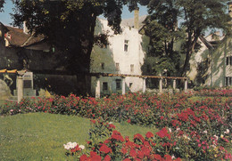 4932) WELS - OÖ - Denkmal Park Haus Und Blumenwiese - Wels