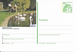 ALLEMAGNE DEUTSCHLAND CYGNE SCHWAN SWAN CISNE 1981 P134 HENNEF SIEG KNEIPPKURORT CURE FAMILLE ENFANT - Cygnes