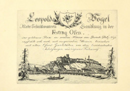 Hugo S. (?-?), Feltehetően XX. Sz.: Buda Látképe Pest Felől, Híddal A Dunán. Rézmetszet, Papír, üvegezett Fa Keretben, 1 - Prints & Engravings