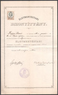 1884 Életmentéstani Bizonyítvány, Pecséttel, Aláírásokkal, 15 Kr Okmánybélyeggel. - Non Classificati