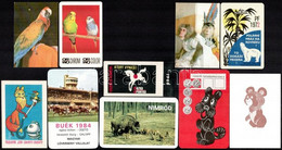 1968-1986 10 Db állatos Kártyanaptár - Advertising